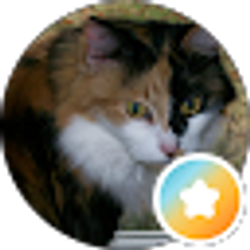 Profile photo of Leah Russell