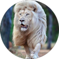 Profile photo of Ismaël Coulibaly