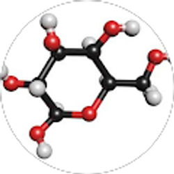 Profile photo of Samuel Yi