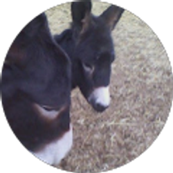 Profile photo of LuAnn W. Craner