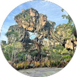 Profile photo of PGM