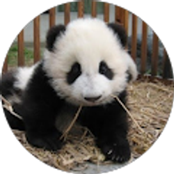 Profile photo of Lisa Eckstein