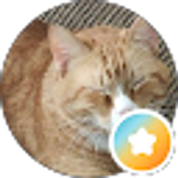 Profile photo of Amanda M