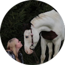 Profile photo of Morgan Hoke