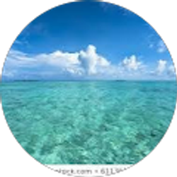 Profile photo of Alishia Ritchie