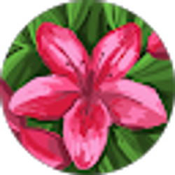 Profile photo of Bliss