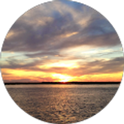 Profile photo of Mary Sharon Rumsey