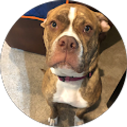 Profile photo of LaToya Jones
