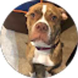 Profile photo of LaToya Jones