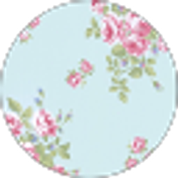 Profile photo of Kayla Morris