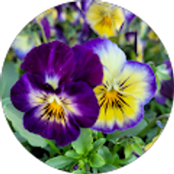 Profile photo of Beverly Karr