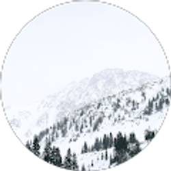 Profile photo of Bethany Spicer