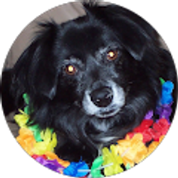 Profile photo of Susan R.