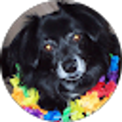 Profile photo of Susan R.