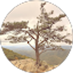 Profile photo of Chris Thomas