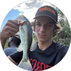 Profile photo of Nick Ross