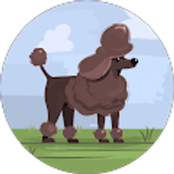 Profile photo of kim rivera