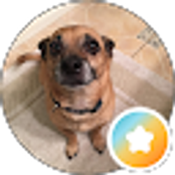 Profile photo of Carol Bell