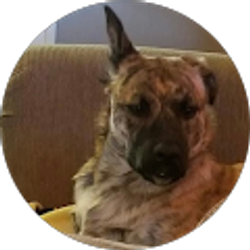 Profile photo of becky fife