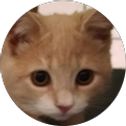 Profile photo of Kylee