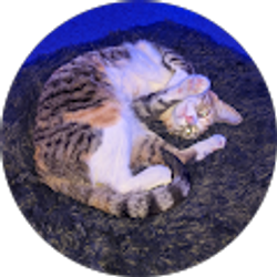 Profile photo of Julianna Mejia