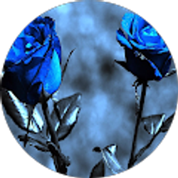 Profile photo of Kristina