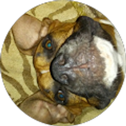 Profile photo of Jesse Mejia