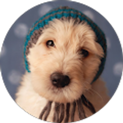 Profile photo of MJ Brookshire