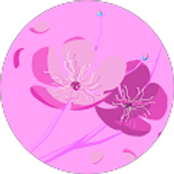 Profile photo of Joseph Restivo