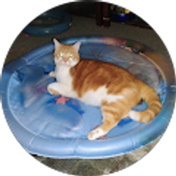 Profile photo of Gina Smith