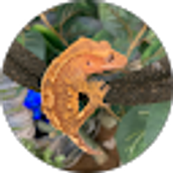 Profile photo of Chris Lemmo