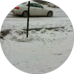 Profile photo of meizhen chen