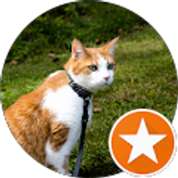 Profile photo of Raych Bourque