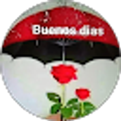 Profile photo of Rene ortega