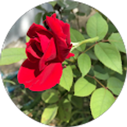 Profile photo of Moises Diaz