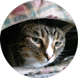 Profile photo of nisp1953