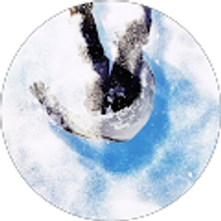 Profile photo of Eric Savage