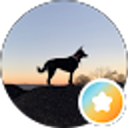 Profile photo of Elyse G (Elyse Carabello)