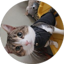 Profile photo of Anjiii_