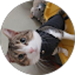 Profile photo of Anjiii_