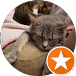 Profile photo of Bree