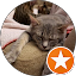 Profile photo of Bree