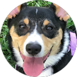 Profile photo of Brooke Pate