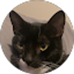 Profile photo of Alyssia Washington