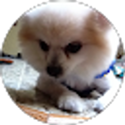 Profile photo of Irma Molina