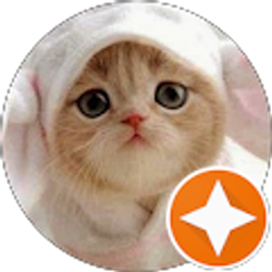 Profile photo of fargol madadi