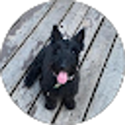 Profile photo of Scott Braly