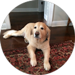 Profile photo of Liliana