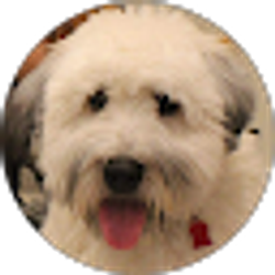 Profile photo of Nenad Drca