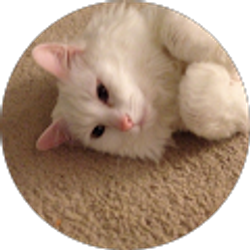 Profile photo of Brock Sampson